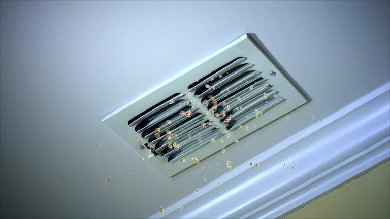 Best HVAC Air Duct Cleaning  in Mound, MN
