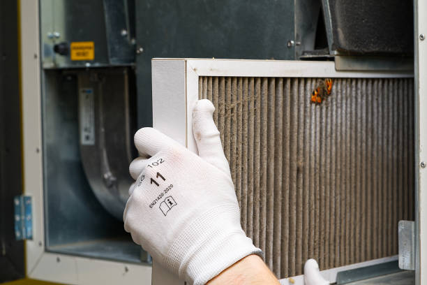 Best Ventilation Cleaning Services  in Mound, MN