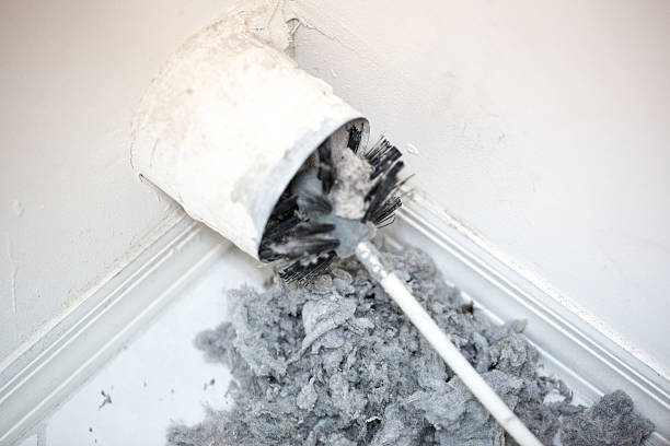 Best Air Duct Cleaning Company Near Me  in Mound, MN